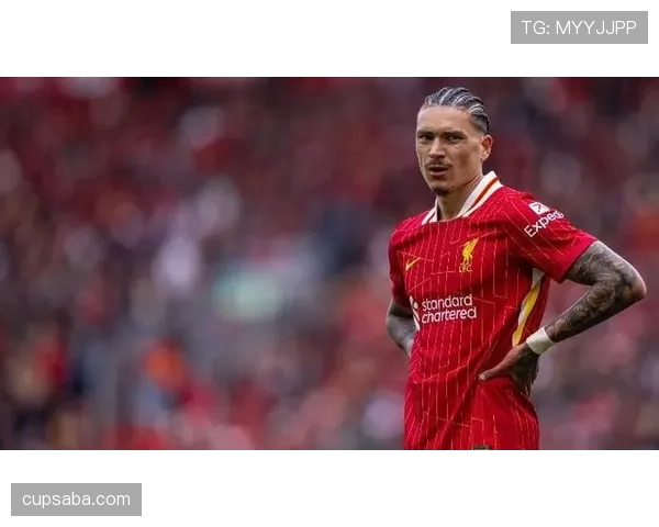 努涅斯 vs 霍伊伦：同代前锋潜力差距在哪