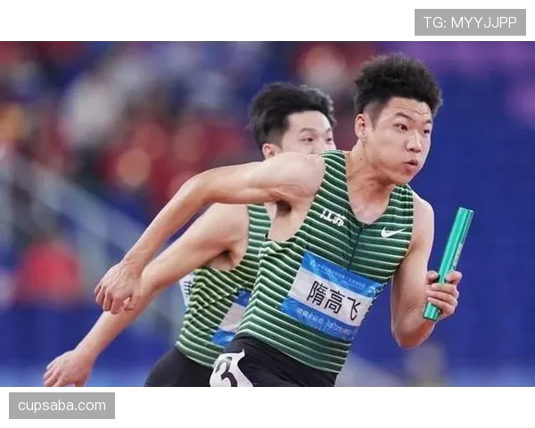 比赛重赛规则：触发条件、裁判与组委会的判定流程