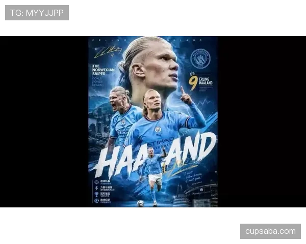 哈兰德世界杯关键作用分析